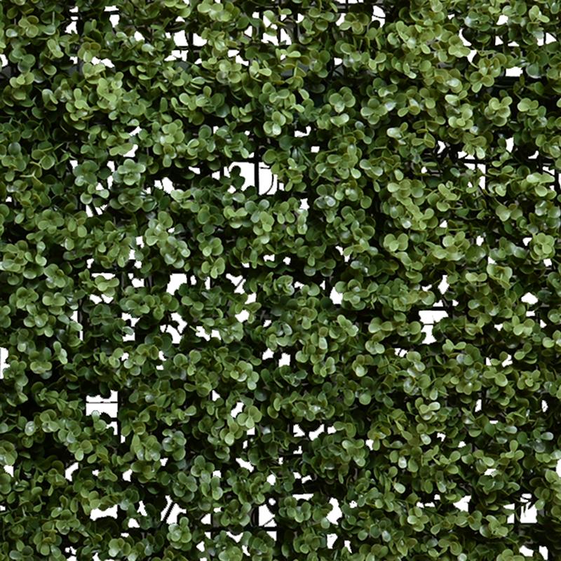 Boxwood Custom-made Hedges, Shapes and Frames