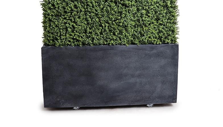62" Boxwood Hedge with planter