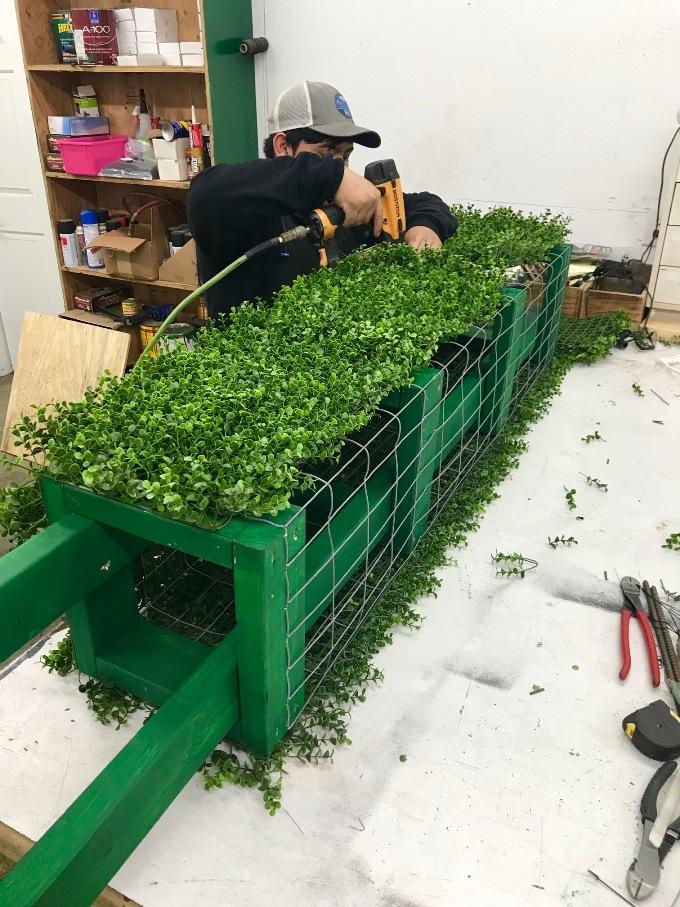 Boxwood Ball Custom-made Topiary